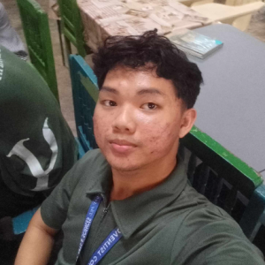 HERMINIO RESMUNDO RADONES-Freelancer in CITY OF ANTIPOLO,Philippines