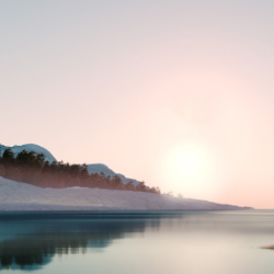 Ashley Dorsett-Freelancer in Chicago,USA