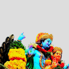 Hanish Chowdary-Freelancer in Nagulavellatur,India