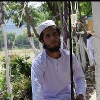 Zakir Ullah-Freelancer in Malakand,Pakistan