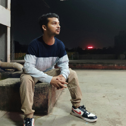 ANSARI MOHAMMAD DANISH MOHAMMAD FAZIL-Freelancer in DADRA and NAGAR HAVELI,India