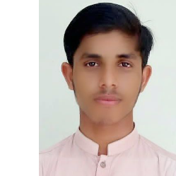 Javed Ali-Freelancer in Sukkur,Pakistan