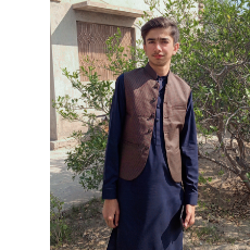 Usman Hashmi-Freelancer in Rahim Yar Khan,Pakistan