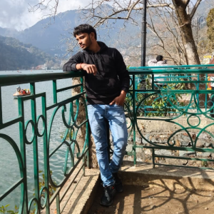 Praveen Kumar-Freelancer in Prayagraj,India
