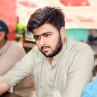 Ali Hamza-Freelancer in Muzaffargarh,Pakistan