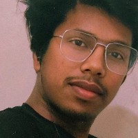 Pratham Sahani-Freelancer in Noida,India