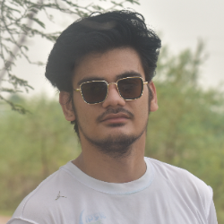 Ravindra Kumar Pathak-Freelancer in BILASPUR,India