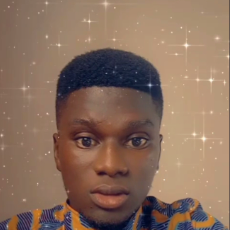 Barna Bee-Freelancer in Takoradi,Ghana