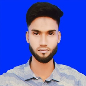 Md. Rabiul Islam-Freelancer in Rangpur District,Bangladesh
