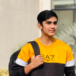Ali Maqsood-Freelancer in Islambad,Pakistan
