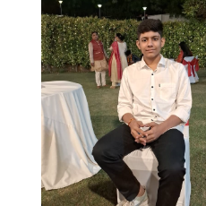 Shaurya Dwivedi-Freelancer in Noida,India