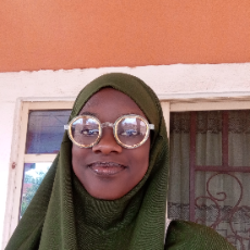 Barakatullah Musa Muhammad-Freelancer in Oko Erin,Nigeria