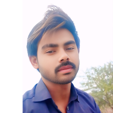 Dilshad Ali-Freelancer in Tando adam,Pakistan