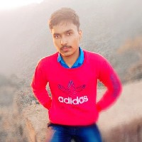 Pankaj Rajput-Freelancer in Gurgaon Division,India