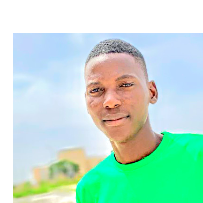 Philibus Lucky-Freelancer in Nasarawa,Nigeria
