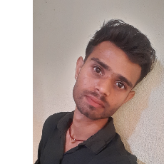 Chandrashekhar Rajput-Freelancer in Bilaspur,India