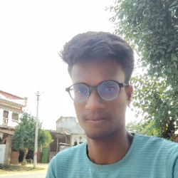 Nitish Gautam-Freelancer in Gangapur,India