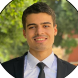 Amr Hussain-Freelancer in ,Egypt