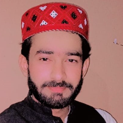 Muzamil articles-Freelancer in Lodhran,Pakistan