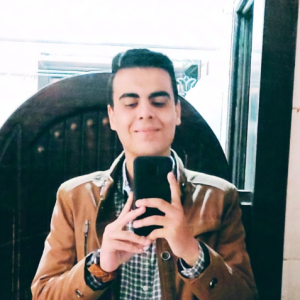 Mohamed Wahba-Freelancer in Al Mansurah,Egypt