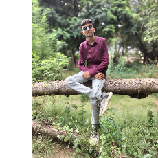 Henish Prajapati-Freelancer in Kadi,India