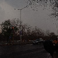 Prapti Borkar-Freelancer in Nagpur Division,India