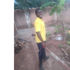 Chukwuebuka Akinwumi-Freelancer in Ibadan,Nigeria
