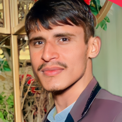 Ghulam Shabbir-Freelancer in london,Pakistan