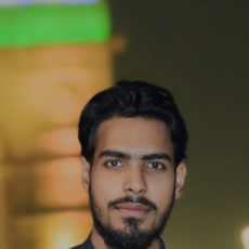 Md Inzemam-Freelancer in New Delhi,India