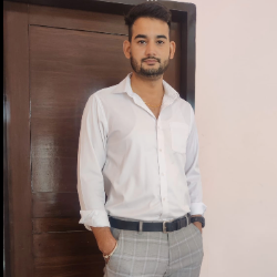 Kamal Thakur-Freelancer in Sahibzada Ajit Singh Nagar,India