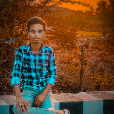 Youvraj Singh-Freelancer in Akola,India
