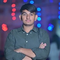 Sachin Vishnoi-Freelancer in Jodhpur Division,India