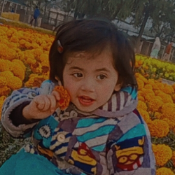 Safa Raja-Freelancer in Rawalpindi,Pakistan