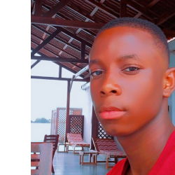 Francisco Antonio-Freelancer in São Paulo,Angola