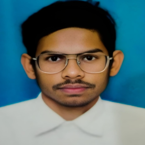 RAMJAN ALI-Freelancer in CHANDIGARH,India