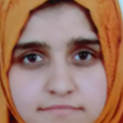 Ekleem Ali-Freelancer in Srinagar,India