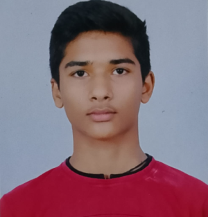 Raj Tiwari-Freelancer in Ahmedabad,India