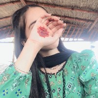 Mehak-Freelancer in Lahore,Pakistan