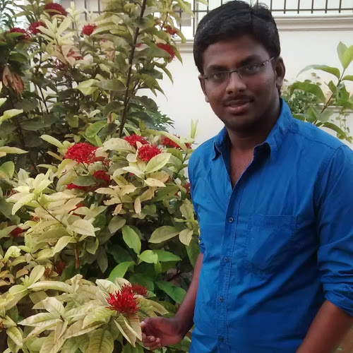 Bala Krishnan-Freelancer in Pettavaithalai,India