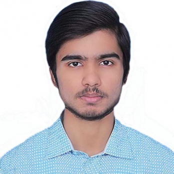 Malik Hammad-Freelancer in Karachi,Pakistan