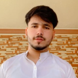 Ramiz Raja-Freelancer in New Mirpur City,Pakistan