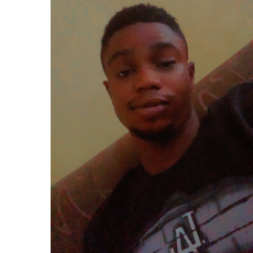 AlaniDev-Freelancer in Akure,Nigeria
