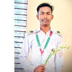 Rasel Hosen-Freelancer in Rajbari,Bangladesh