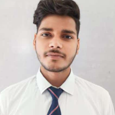 Ajay Kumar-Freelancer in Meerut,India