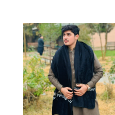 M Hassan Naiemzada-Freelancer in Balkh,Afghanistan