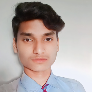 Sunny Kumar-Freelancer in Hazaribagh,India