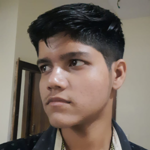 Ritik Nayak-Freelancer in Greater Noida,India