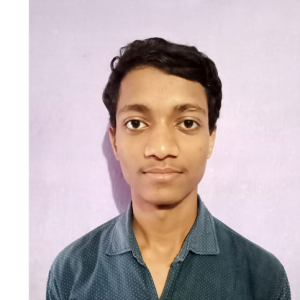 Bhupendra Dewangan-Freelancer in Raipur,India