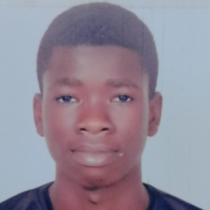 Ebenezer Twumasi-Freelancer in Krowor Municipal,Ghana