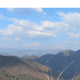 Tejasv Gupta-Freelancer in Ahmamau,India